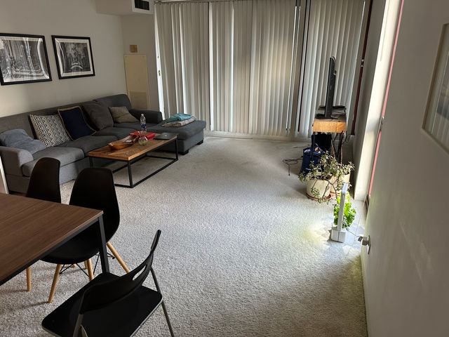 200 N Dearborn Street 1903, Chicago, IL 60601