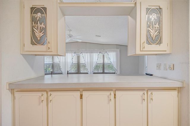 3971 COHEN DRIVE 739, Zellwood, FL 32798