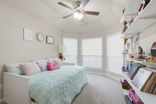 10233 Long Branch Drive, Mckinney, TX 75071