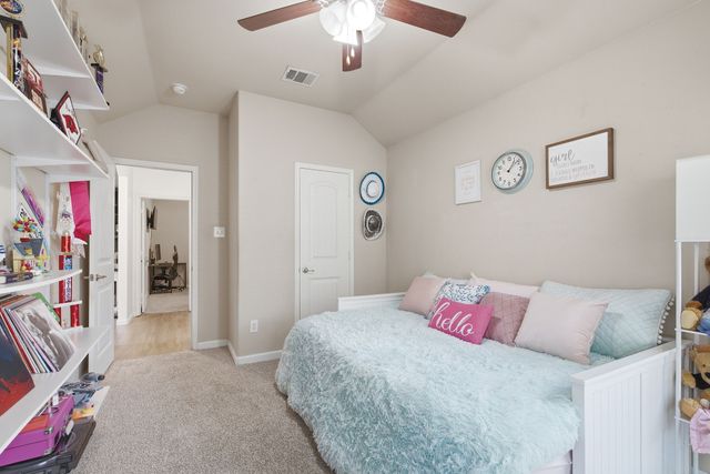 10233 Long Branch Drive, Mckinney, TX 75071