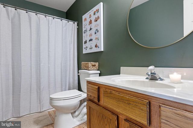 196 BIRCHWOOD LN, Galena, MD 21635