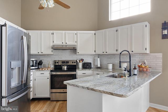 196 BIRCHWOOD LN, Galena, MD 21635