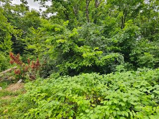 540 Lincoln Street, Lawrenceburg, KY 40342