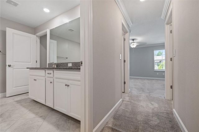 1295 WHITE FOX RUN, Lutz, FL 33549