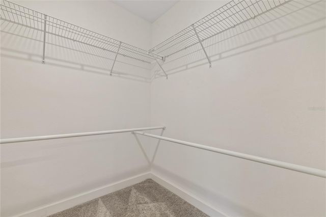 1295 WHITE FOX RUN, Lutz, FL 33549