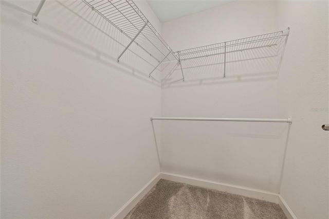 1295 WHITE FOX RUN, Lutz, FL 33549