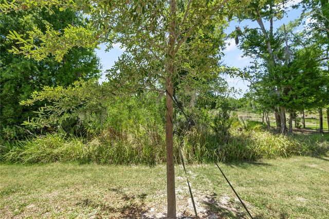 1295 WHITE FOX RUN, Lutz, FL 33549