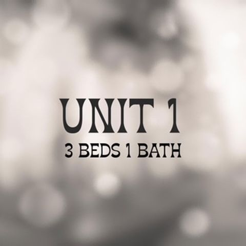 1322 W Barry Avenue, Chicago, IL 60657