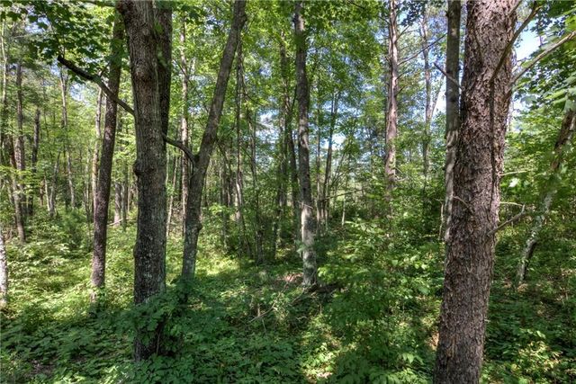 2440 Spruce Road, Webster, WI 54893