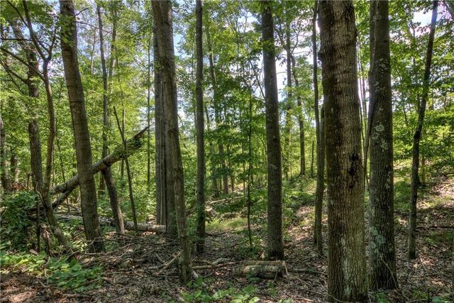 2440 Spruce Road, Webster, WI 54893