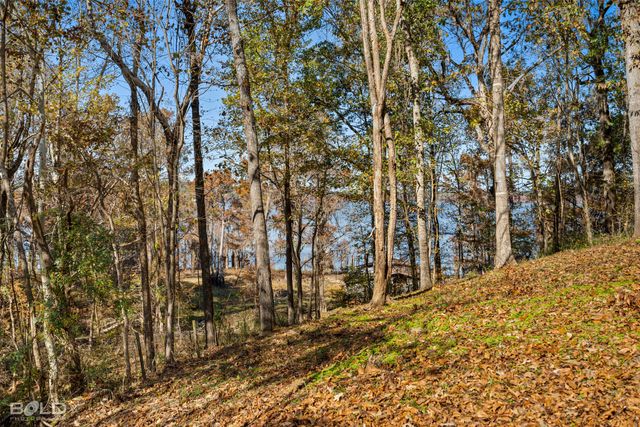 333 Canal Street, Ringgold, LA 71068