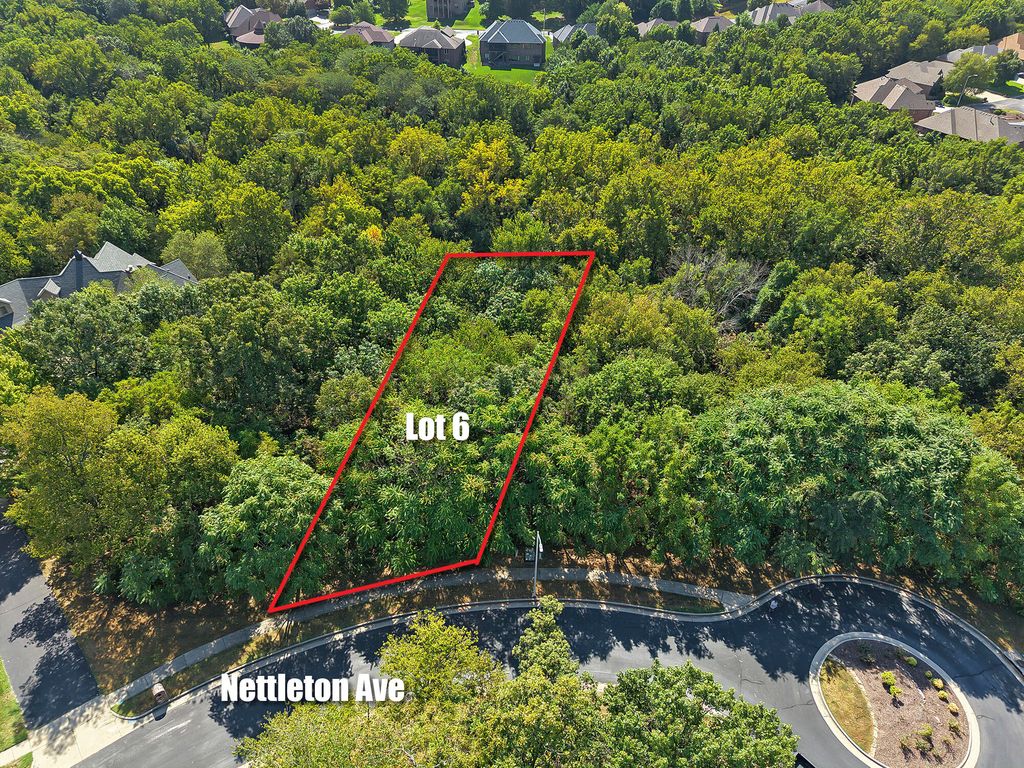 5204 S Nettleton Avenue, Springfield, MO 65810