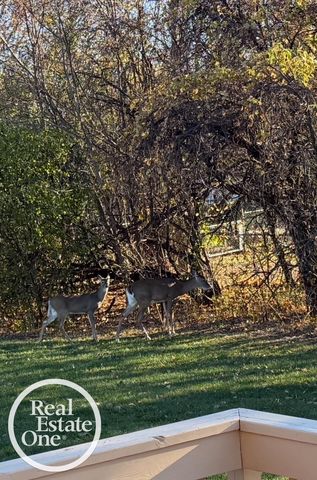 21516 Raven Avenue, Eastpointe, MI 48021