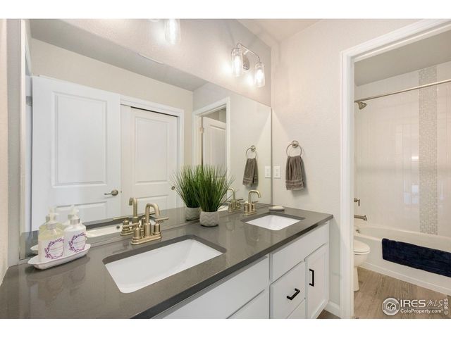 679 Red Jewel Dr, Windsor, CO 80550