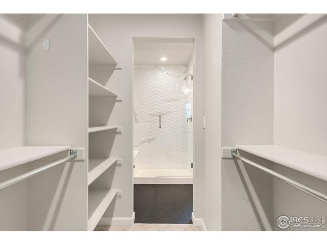 679 Red Jewel Dr, Windsor, CO 80550