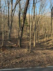 210 Windflower Drive, Big Canoe, GA 30143