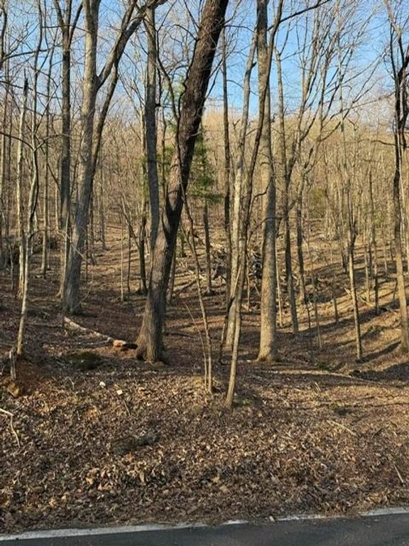 210 Windflower Drive, Big Canoe, GA 30143