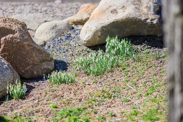 309 Great Fields Rd, Brewster, MA 02631