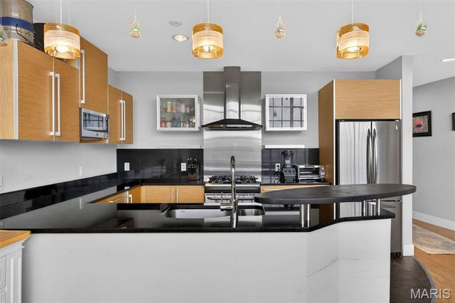 4100 Forest Park Avenue 307, St Louis, MO 63108