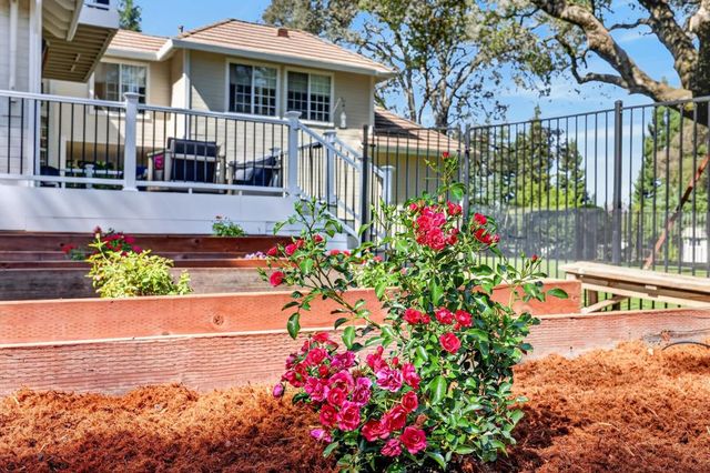 3637 Meder Ct, Shingle Springs, CA 95682