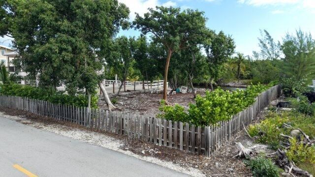 Spanish Channel Drive, No Name Key, FL 33043