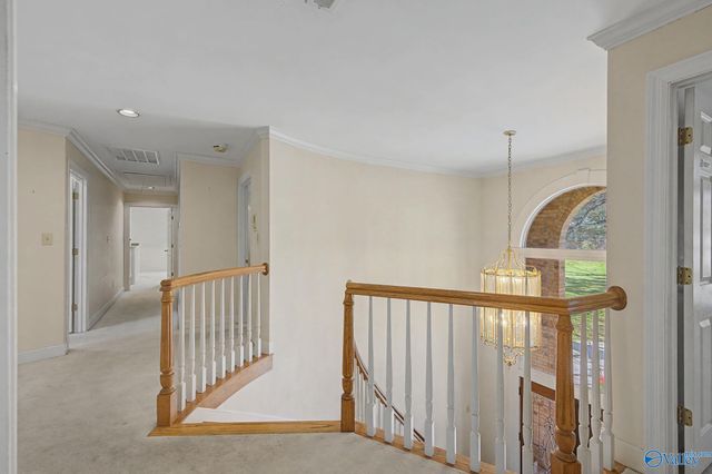 104 Betts Spring Drive, Huntsville, AL 35824