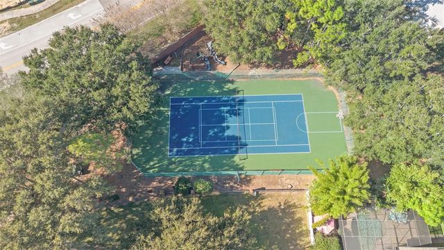 717 STRIHAL LOOP, Oakland, FL 34787