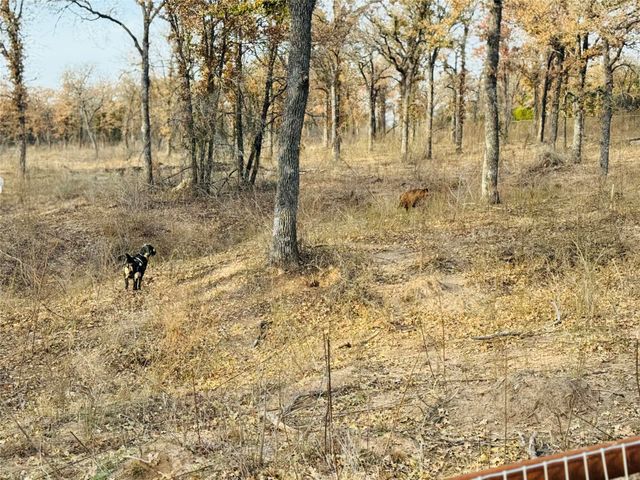 800 Private Road 1485, Hico, TX 76457