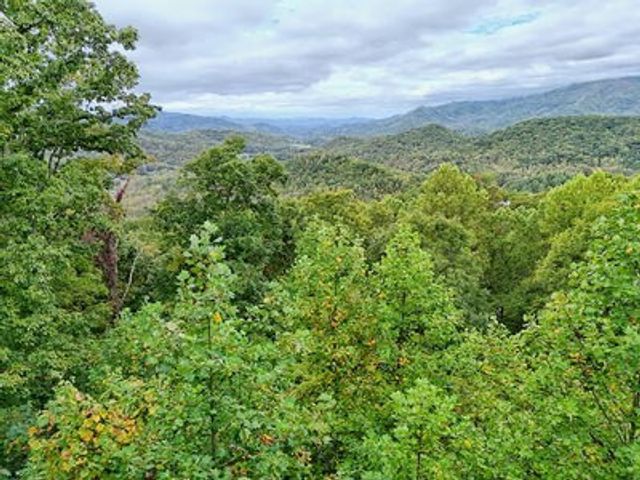 Lot 5 Skyview Drive, Hayesville, NC 28904