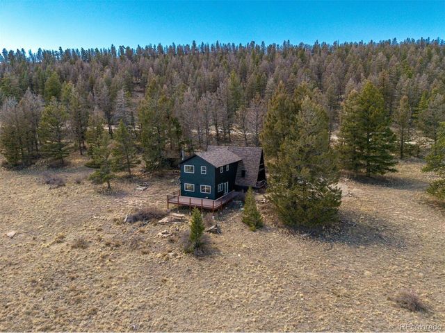 1324 Redhill Rd, Fairplay, CO 80440