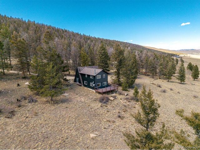 1324 Redhill Rd, Fairplay, CO 80440