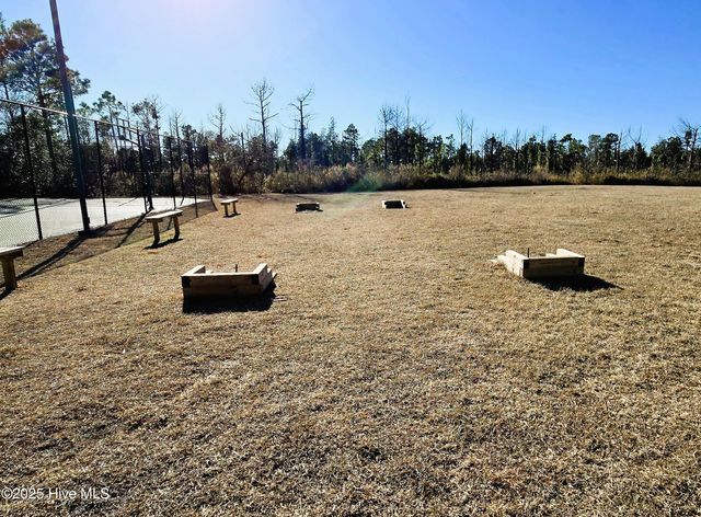 3146 Lobelia Lane, Leland, NC 28451