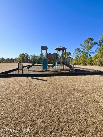 3146 Lobelia Lane, Leland, NC 28451