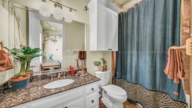 115 Autumn Springs Court, Weatherford, TX 76087