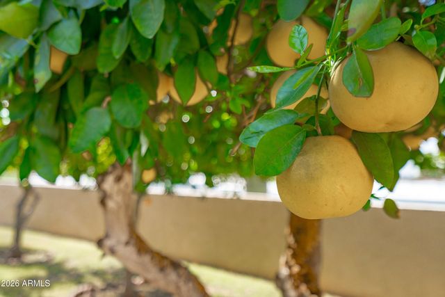 9654 N 18TH Street, Phoenix, AZ 85020