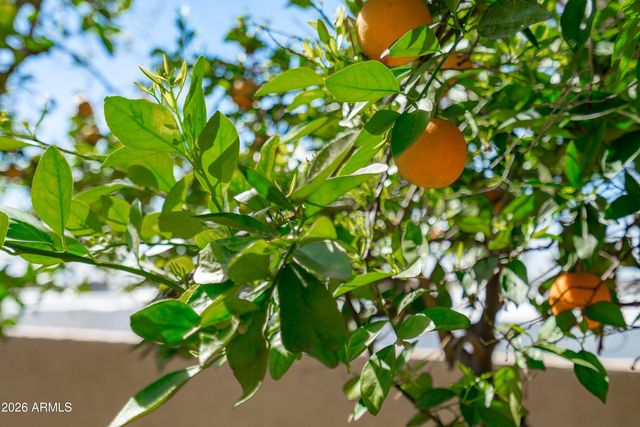 9654 N 18TH Street, Phoenix, AZ 85020