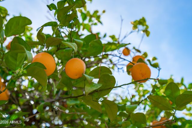 9654 N 18TH Street, Phoenix, AZ 85020