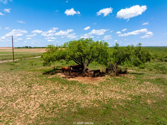 419 County Road, Aspermont, TX 79502
