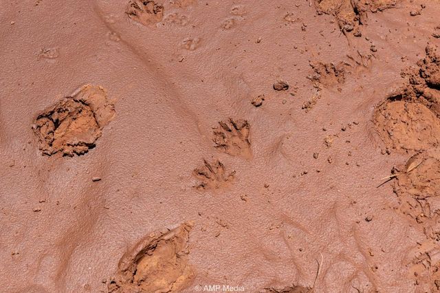 419 County Road, Aspermont, TX 79502