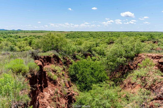 419 County Road, Aspermont, TX 79502