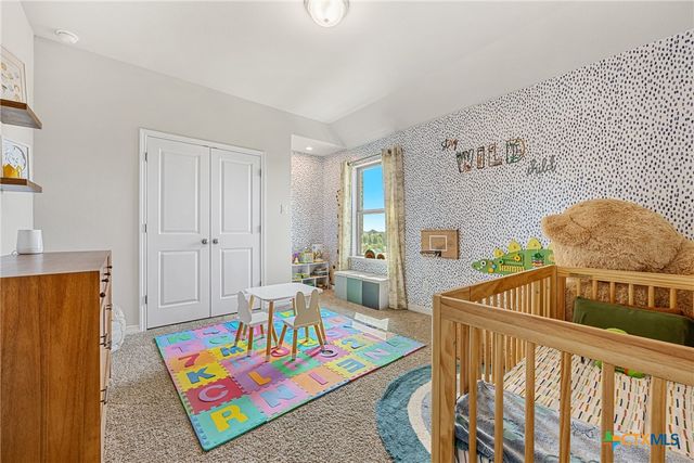341 Alicante Lane, Liberty Hill, TX 78642