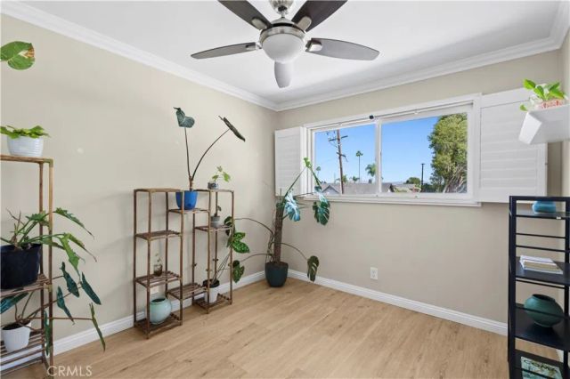 3165 College, Costa Mesa, CA 92626