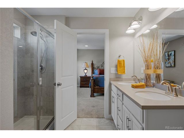 393 Midden Pl, Castle Rock, CO 80104