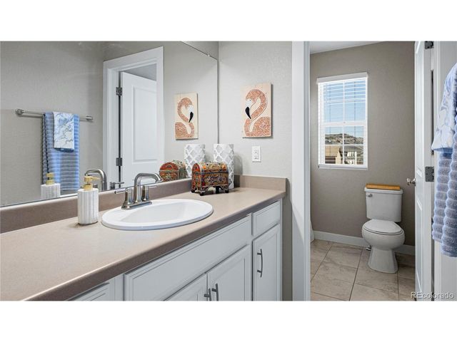 393 Midden Pl, Castle Rock, CO 80104