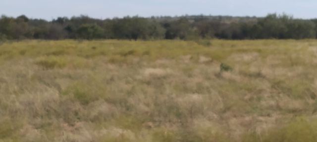 0 County Road 266, Gustine, TX 76455