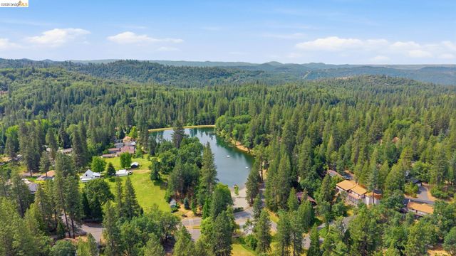 23303 Bluebird Hill Rd, Twain Harte, CA 95383
