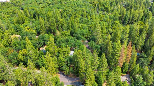 23303 Bluebird Hill Rd, Twain Harte, CA 95383