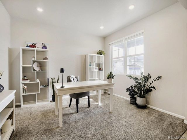 1642 Colorado River Dr, Windsor, CO 80550