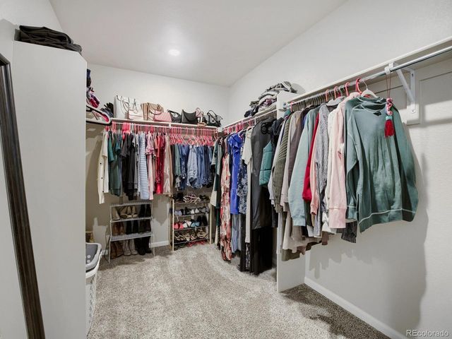 1642 Colorado River Dr, Windsor, CO 80550