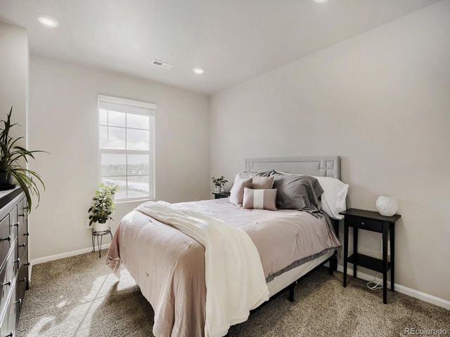 1642 Colorado River Dr, Windsor, CO 80550